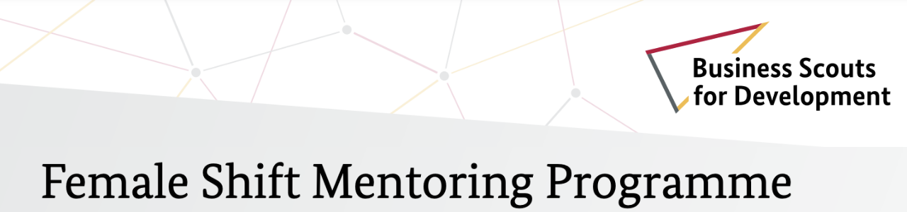 “Female Shift” Mentoring Programme