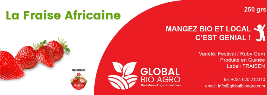 Cover image of Global Bio Agro, Agribusiness venture on VC4A