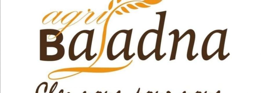 Cover image of Agribaladna, Agribusiness venture on VC4A