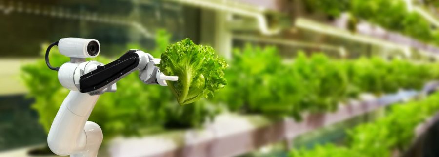 Cover image of LANFarms, Agribusiness venture on VC4A