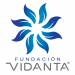 Partner Organization Fundación Vidanta image of O