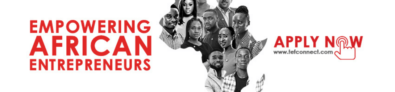 Tony Elumelu Entrepreneurship Program 2022