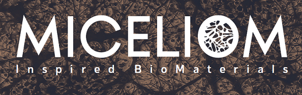Cover image of Miceliom, Biomass venture on VC4A