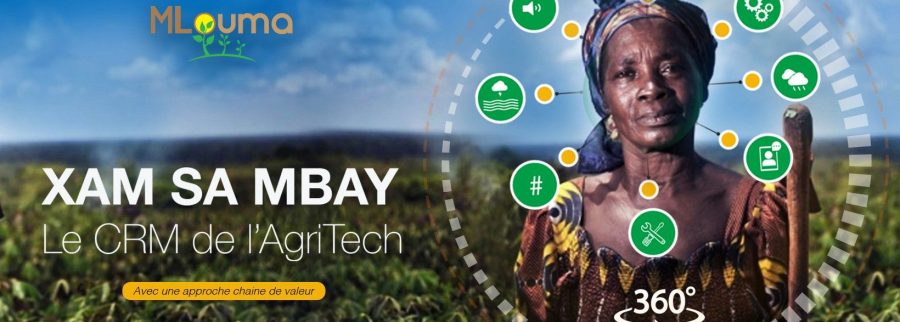 Cover image of MLouma, Agribusiness venture on VC4A
