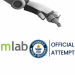 Partner Event mLab’s Official Guinness World Record Attempt image of Screenshot At