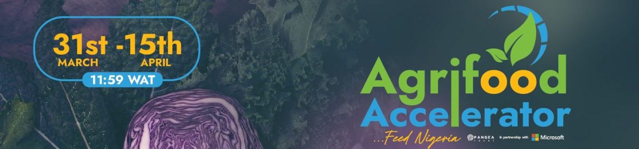 Agri-Food Nigeria Accelerator 2022