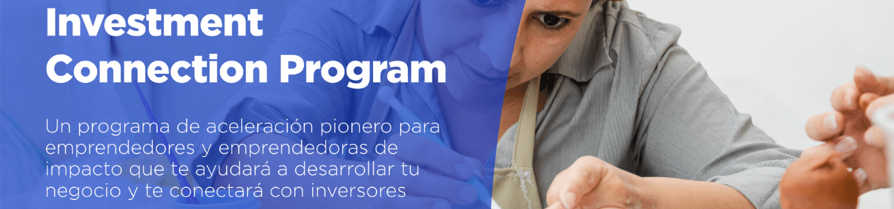Investment Connection Program