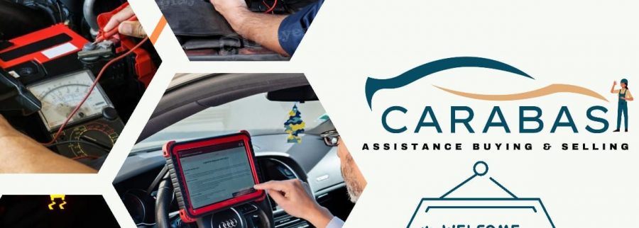 Cover image of Carabas, Automotive venture on VC4A