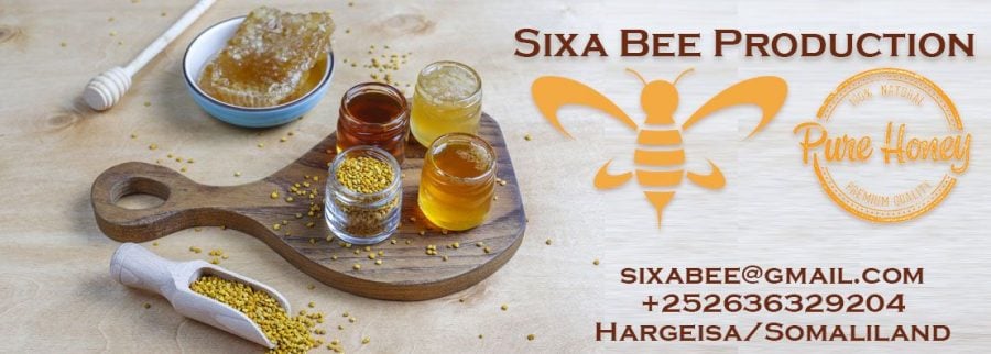 Cover image of Sixa bee production., Agribusiness venture on VC4A