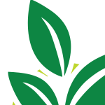 Logo of Agro Market Square (AMS), Agribusiness venture on VC4A
