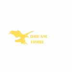 Logo of Dream Tribe Network Africa, Business services venture on VC4A