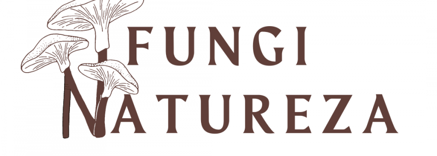 Cover image of Funginatureza, Biotechnology and medical research venture on VC4A