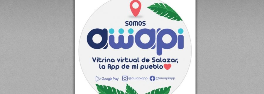 Cover image of Awapi, Comercio electrónico venture on VC4A