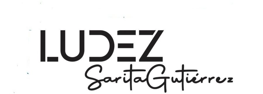 Cover image of LUDEZ, Fashion venture on VC4A