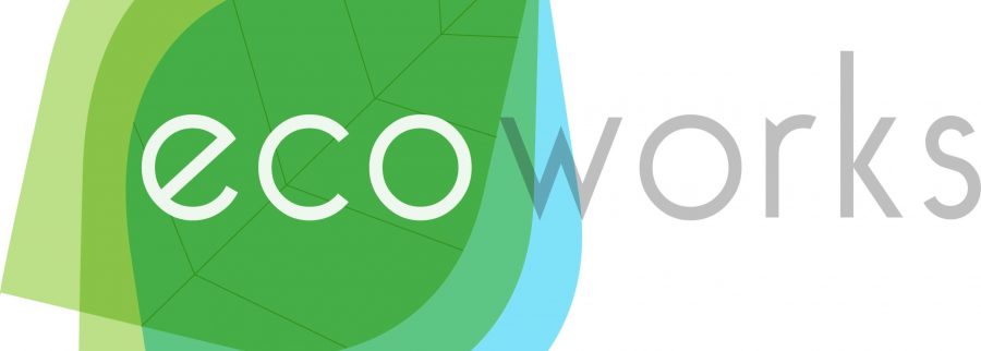 Cover image of Ecoworks, Green transportation and electric motors venture on VC4A