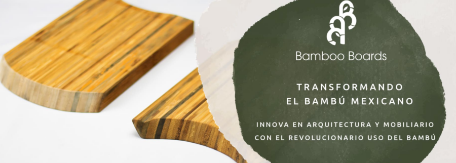 Cover image of Bamboo Boards Mx, Furniture venture on VC4A
