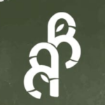 Logo of Bamboo Boards Mx, Muebles venture on VC4A
