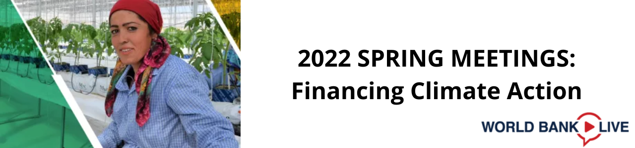 Spring Meetings 2022: Financing Climate Action