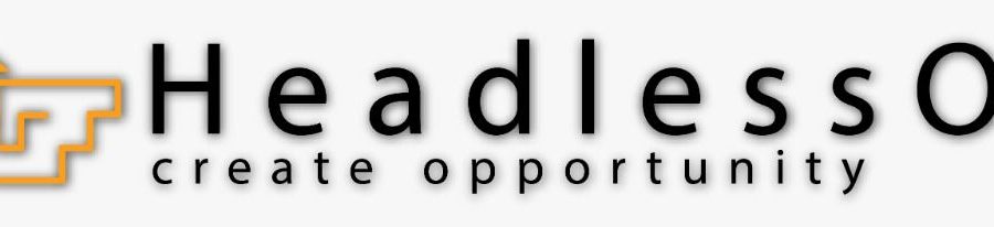 Cover image of HeadlessOrc, Agribusiness venture on VC4A