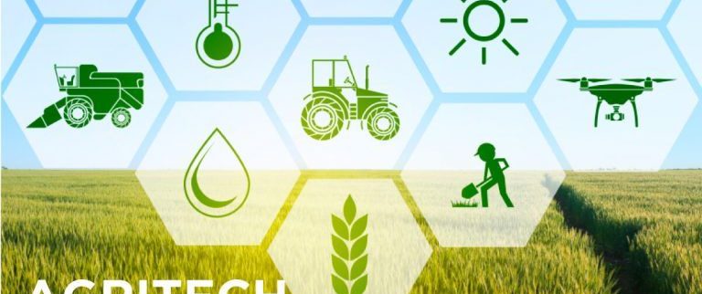 Cover image of Agro Market Square (AMS), Agribusiness venture on VC4A
