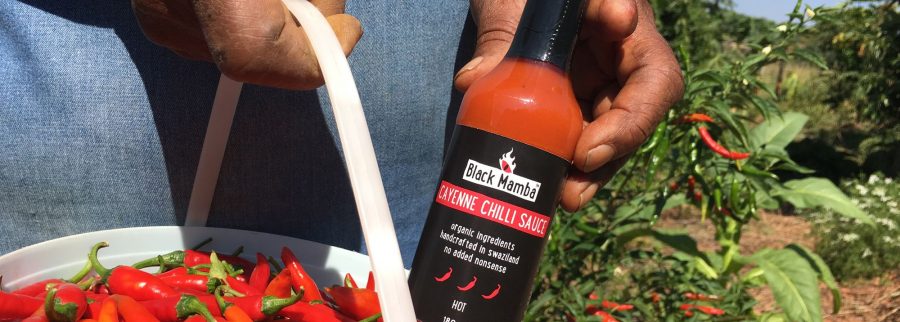 Cover image of Black Mamba Foods, Agribusiness venture on VC4A