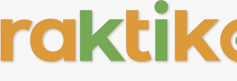 Cover image of Praktiko Cia. Ltda., Business services venture on VC4A