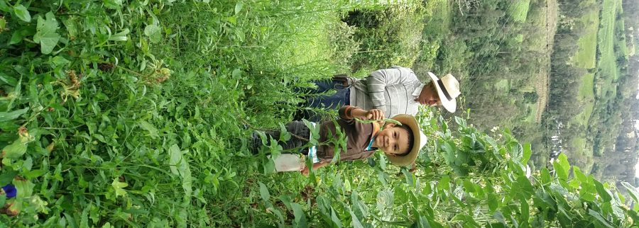 Cover image of Tincara EL Milagro de LA Cosecha, Agribusiness venture on VC4A