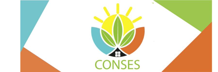 Cover image of Conses, Water treatment venture on VC4A