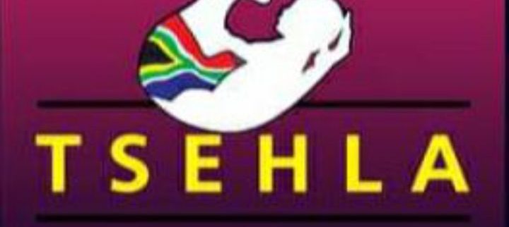 Cover image of Tsehla Holdings, Agribusiness venture on VC4A
