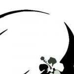 Logo of Salon La Perle, Drugs and cosmetics venture on VC4A