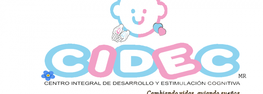 Cover image of CIDEC, Educational services venture on VC4A