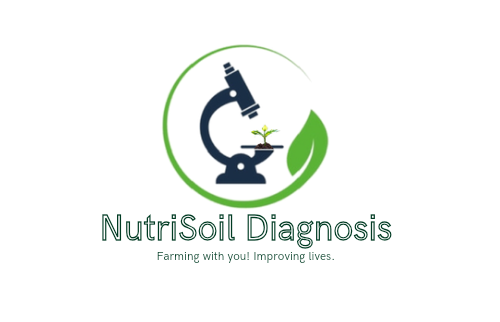 Cover image of Luizy Consultancy, Agribusiness venture on VC4A