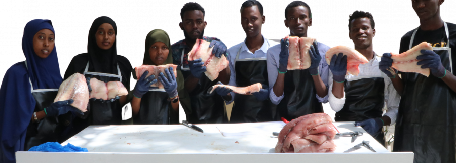 Cover image of Green Gap Enterprise Ltd., Fish farming venture on VC4A