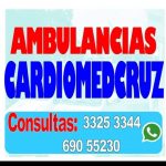Logo of Cardiomedcruz, Healthcare providers and services venture on VC4A