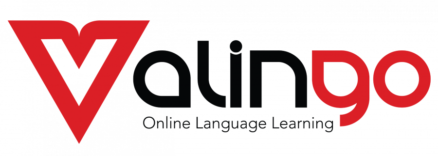 Cover image of Valingo, E-learning venture on VC4A