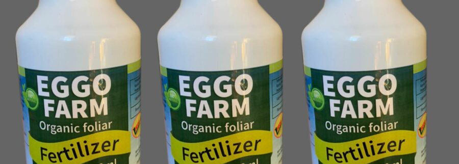 Cover image of Fidena AGRI Uganda LTD, Agribusiness venture on VC4A
