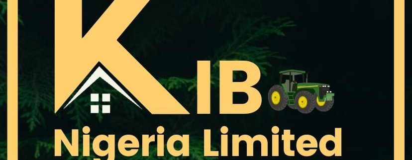 Cover image of Khamees IB Nigeria, Business services venture on VC4A