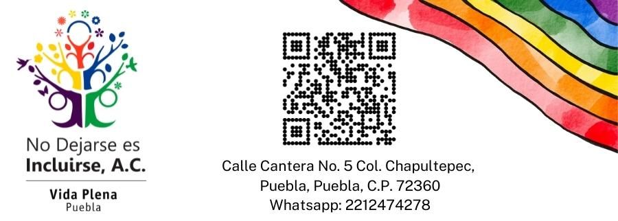 Cover image of No Dejarse es Incluirse, A.C., Servicios educativos venture on VC4A