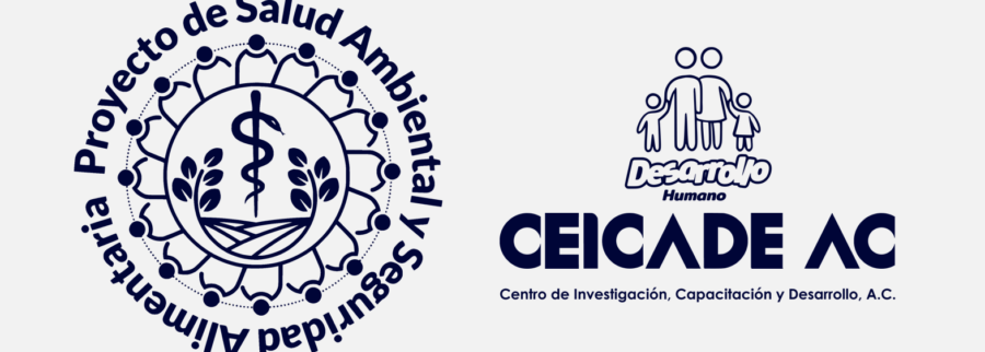 Cover image of Ceicade, A.C., Education venture on VC4A