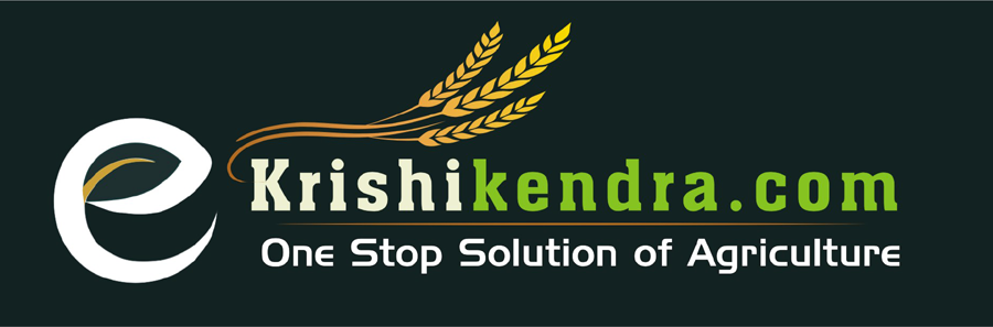 Cover image of AgriDigi Tech (OPC) Private Limited, Agribusiness venture on VC4A