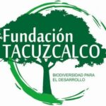 Venture Profile Fundación Tacuzcalco image of N