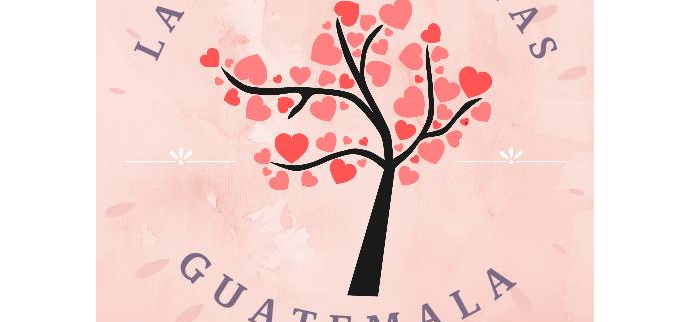 Cover image of Latiendo Juntas Guatemala, ICT venture on VC4A
