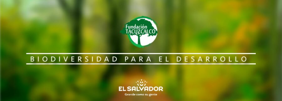 Cover image of Fundación Tacuzcalco, Environmental services venture on VC4A