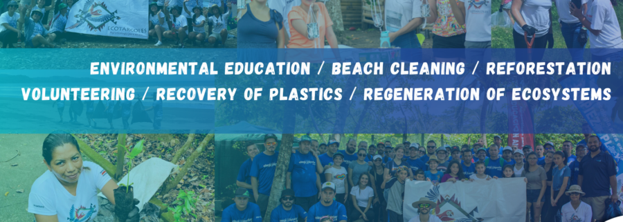 Cover image of Ecotarcoles, Environmental services venture on VC4A