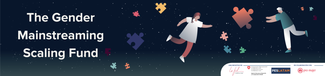 The Gender Mainstreaming Scaling Fund – application