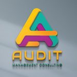Venture Profile Audit for management Consulting image of 