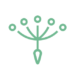 Partner Program Radar Fintech 2022 de Finnovista image of N