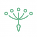 Partner Organization Finnovista image of N