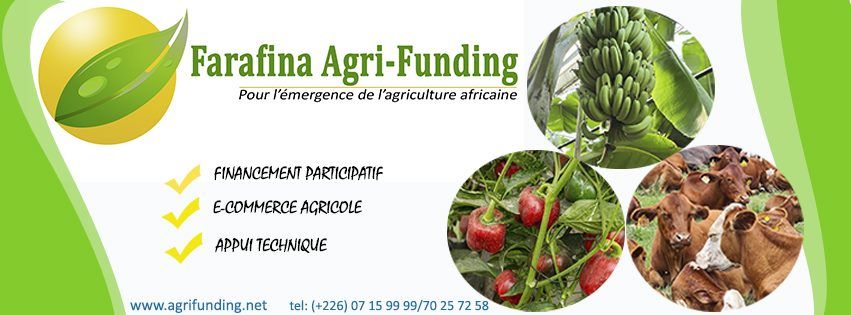 Cover image of Farafina Agri-Funding, Agritech venture on VC4A