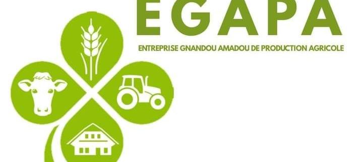 Cover image of EGAPA, Agribusiness venture on VC4A